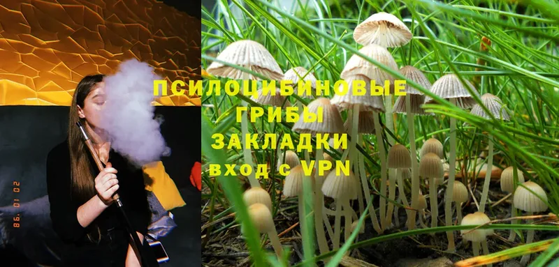 Псилоцибиновые грибы Magic Shrooms  как найти закладки  Воскресенск 